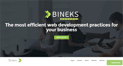 Desktop Screenshot of bineks.net